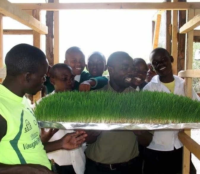 Des jeunes présentent des pousses cultivées à Boys Town Africa