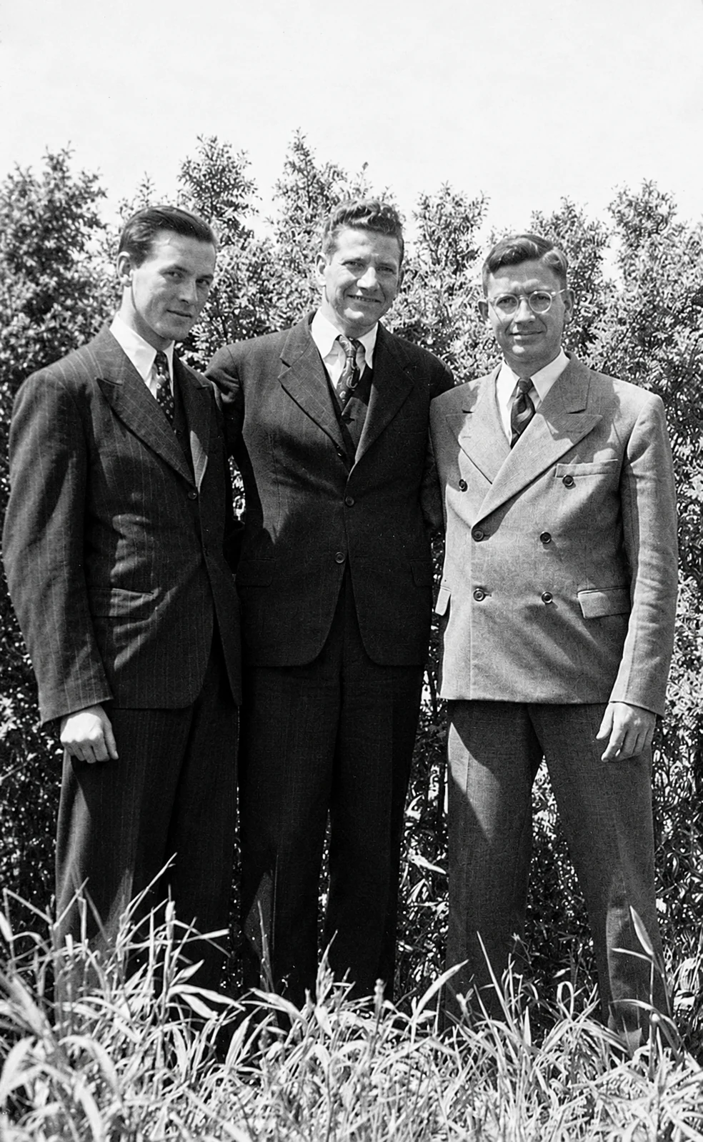 MM. Langevin, Auger et Lippé